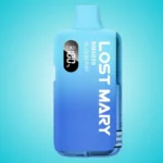 Lost Mary BM6000 Blueberry Vape Kit bis 6000