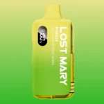 Lost Mary BM6000 Kiwi Passion Fruit Guava Vape Kit bis 6000