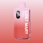 Lost Mary BM6000 Raspberry Peach Vape Kit bis 6000