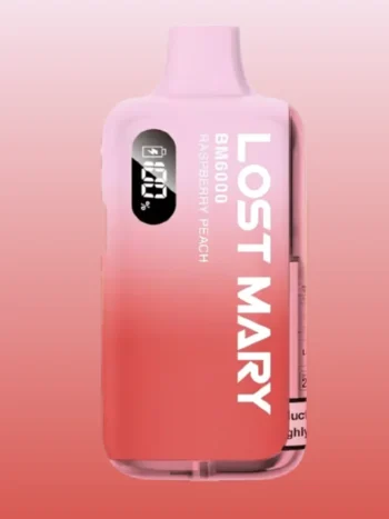 Lost Mary BM6000 Raspberry Peach Vape Kit bis 6000
